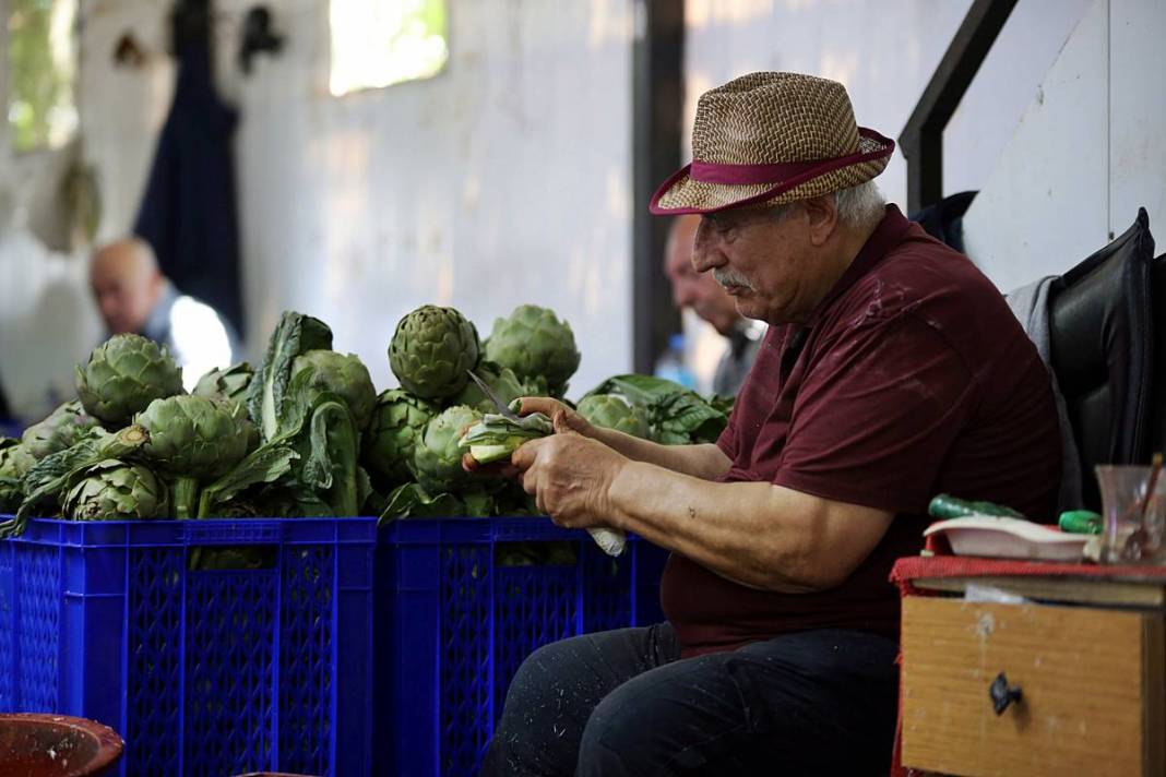Hızlı soyan 20 erkek topladı: Kişi başı günde 2500 TL kazanıyorlar! 'Çok güçlü bir ekibimiz var, hızlıca soyuyoruz' 15